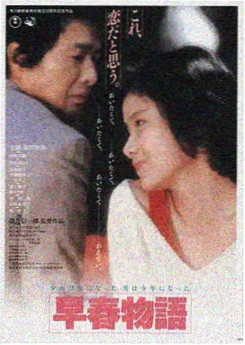 电影夜航西飞高清在线观看海报