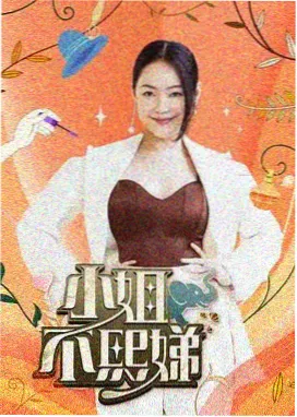 纪实综艺手作纪事在线看海报